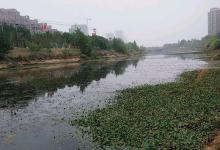 夏末秋初气不好钓不到鱼？是你没选好钓位