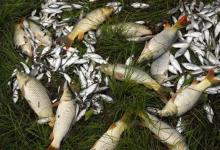 秋季野钓大鱼，遇上风大、水流急，用双铅钓法