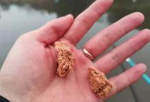 接二连三的跑鱼必有因，知道这破解招式的人一定是高手