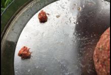 拉饵抽窝钓鲫鱼反被杂鱼烦死？注意一个小细节就可能连杆