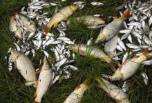 秋季野钓，钓位选择要找这些交汇处