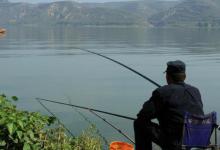 跟着鱼的习性规律走，才能找到鱼