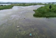 春季钓鱼水底水草多，试试这样钓，简单好用鱼获多，