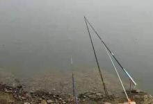 只要我有这特色钓法，黑鱼抢着咬钩