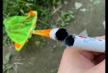 抄跑鱼就说抄网太小？要掌握抄鱼技巧