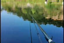 野钓怎么玩，还是资源说了算