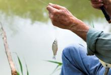 春季作钓的两大细节，让你上鱼更多