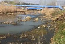 春天野钓你得这样找鱼窝