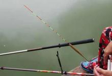 春钓鲤鱼这样用漂，一个礼拜至少钓五次