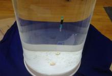 看了那么多调漂视频，为啥还总是抓不好口