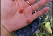 野钓屡屡空军绝非偶然，从这3个方面找原因