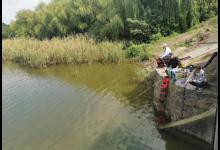 野钓还被打闭口？别着急，就用这个方法办他