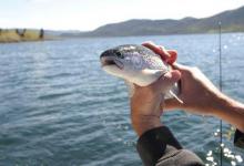 春天真的是钓鱼黄金季？实践证明这个季节才是好季节