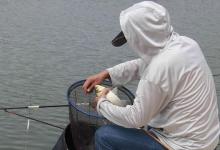 春季钓鱼，抓住这五种天气，鱼儿很活跃