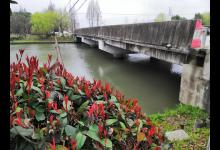 春分过后，请善待水中的鱼儿！这3件事不要做