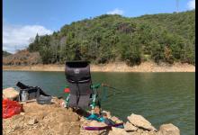 野钓青尾鲴，这么钓鲴鱼正口轻松很多