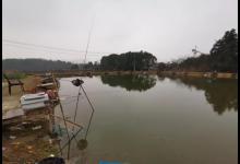 初入黑坑该配哪些小药？有这3种足矣