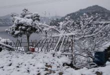 垂钓预备式：出门前看天气，下钩前看水色