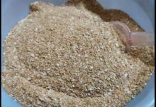 散炮钓鲢鳙实属浪费，就用这2种东西就好