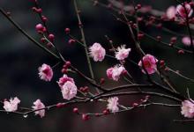 遇到倒春寒，也可以愉快地钓鱼