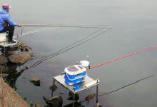 春钓滩等于钓浅水？难怪鱼获不好，春季钓鱼钓位要这样找