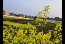 春天钓鱼，忽视这3点，窝子打了也白搭