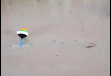 小崔的阿波钓法钓草鱼靠谱吗