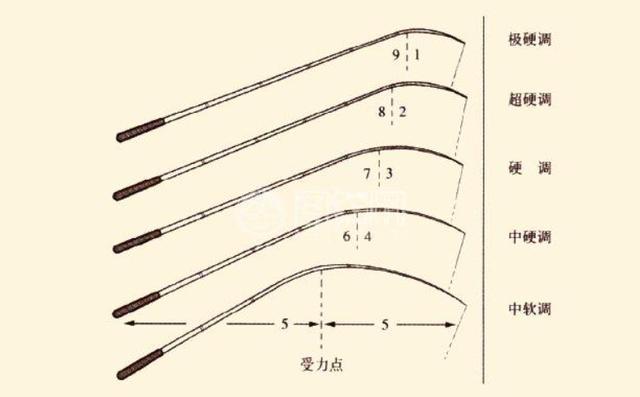 鱼竿调性是什么意思图片