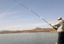 气温低，板鲫就不上钩？那是你不懂这3钓3不钓