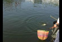 野钓鱼儿活跃水层多变，如何快速定位鱼层