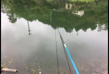 光水钓鲫鱼那点事儿，用长竿太累，但能比别人钓得更多