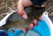 为什么别人遛鱼很简单，自己就特费劲