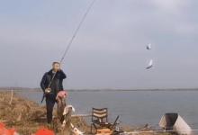 气温低，传统钓根本不管用？二十年老司机倾囊相助