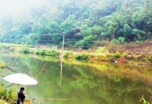 3段亲身经历，提醒钓友们，不要一人独自夜钓