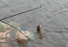 立春后，鱼究竟该怎么钓才过瘾？自从用了这几招，每次钓完很过瘾