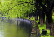 从无鱼吃钩，牵扯出春季温度上升，渔获翻倍的3个技巧