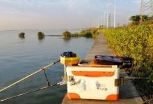 天气太冷，鲫鱼就难钓了？果断换用这3招