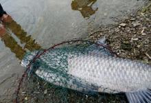 钓到大鱼第一步，你得先找到符合这两点特征的水域