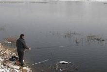 冬钓草窝没鱼口，那多半是这几点没做到