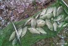 冬季野钓鲫鱼，钓鱼路数5个变化规律，这比技巧还要重要