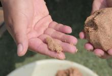 冬季钓黑坑，用什么饵能保证上岸