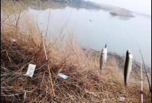 冬钓调漂秘诀，小钩细线配大漂，调钝钓钝抓送漂