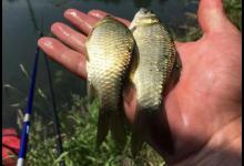 一钩触底一钩悬真的好吗？野钓这样调漂才高效