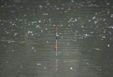 冬钓什么天气能爆护不好说，但是这几种情况，钓鱼肯定会光头