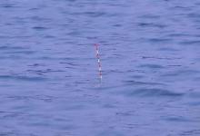 冬季鱼口轻、漂讯弱，两招就能搞定，读漂不再靠蒙