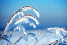 从11月到2月，鱼儿会藏在哪里