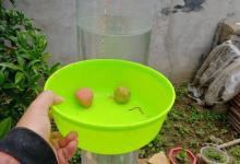 还在纠结怎么调漂吗？看老钓友全方位为你分析