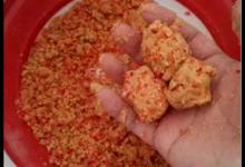 关于冬天野钓打窝，不发窝、没鱼口，多半是这两步没做到位