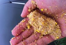 冬钓不用这3招就亏大了！上钩的板鲫又肥又大