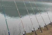 冬天的鱼难钓到怀疑人生？那是你没用这钓法